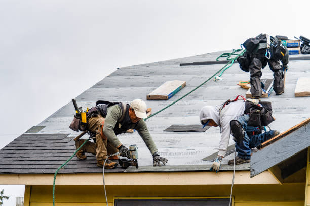 Professional Storm Damage Roof Repair technician working in Dorr, MI